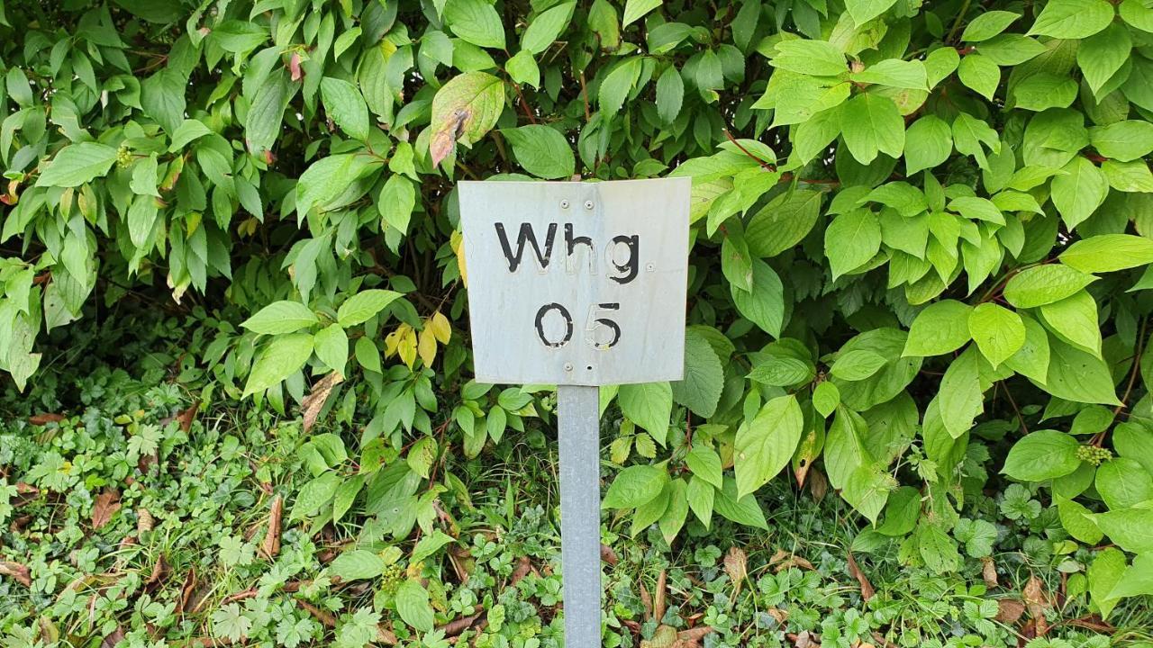 Gemütliche Wohnung in Wasserburg Exterior foto